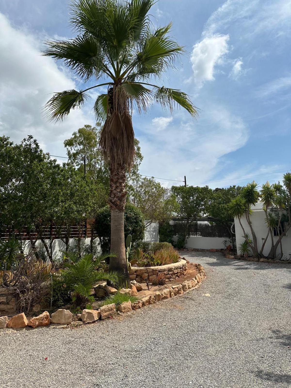 Villa Micasa Ibiza