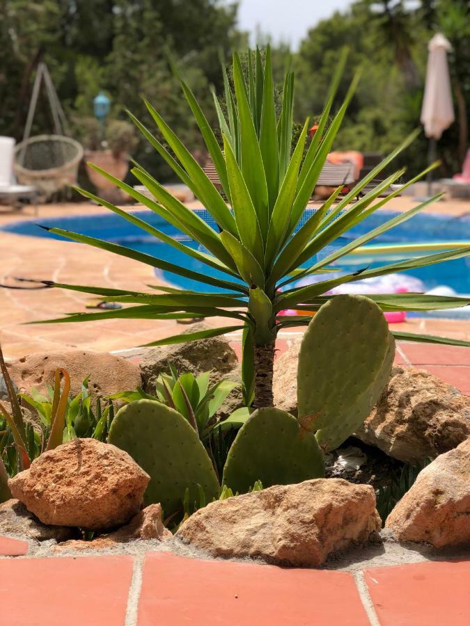 Micasa Ibiza Villa *
